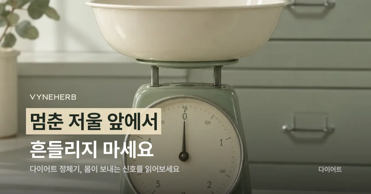 다이어트 정체기, 저울이 멈췄을 때 꼭 확인해야 할 것들