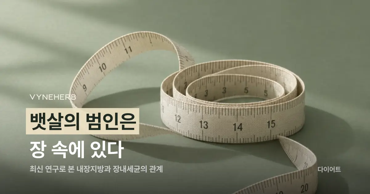 내장지방과 장내세균의 관계, 최신 연구가 밝힌 사실