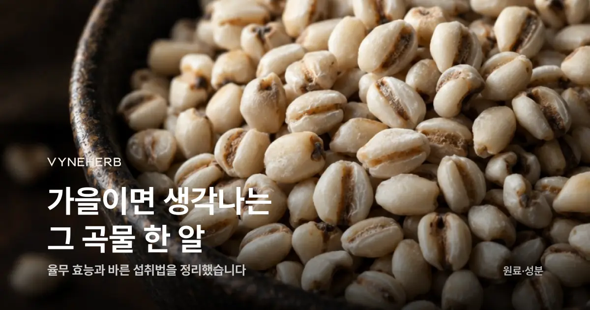 율무 효능, 붓기 빼고 포만감 채우는 법