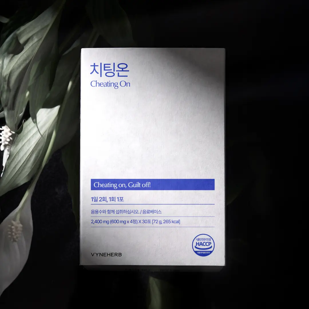 치팅온 3일 키트
