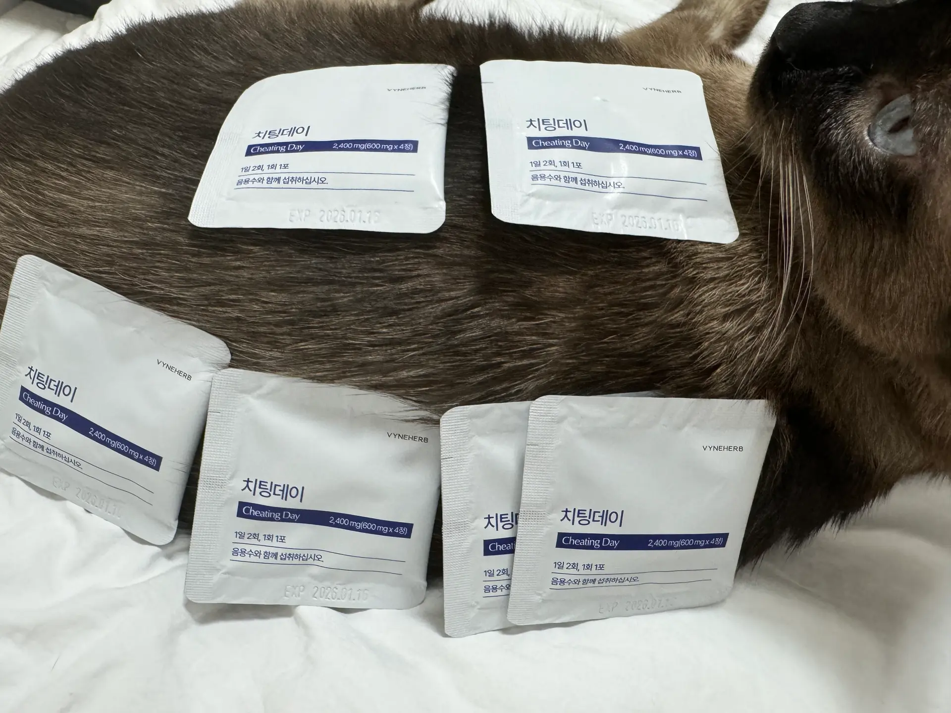 [사전예약 GIP-01 추가] 리뉴얼 치팅온의 리뷰 이미지